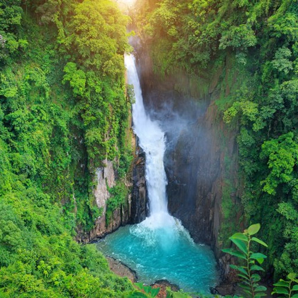 Khao Yai National Park thailand