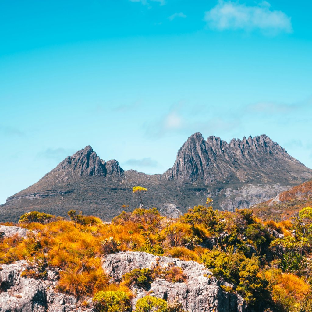 Cradle Mountain/Lake St. Clair National Park